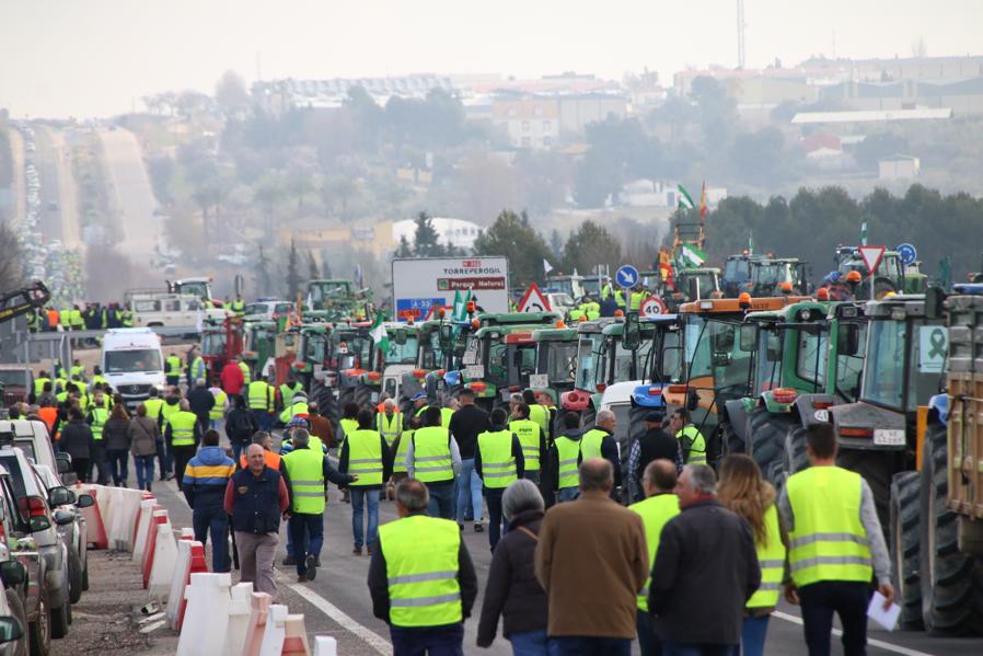 Miles de trabajadores del sector del olivar se han manifestado en toda la provincia de Jaén