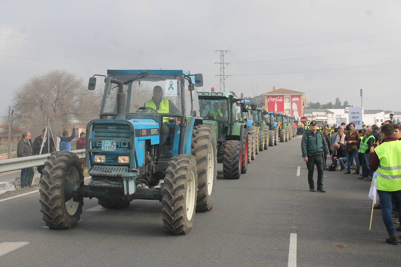 Miles de trabajadores del sector del olivar se han manifestado en toda la provincia de Jaén