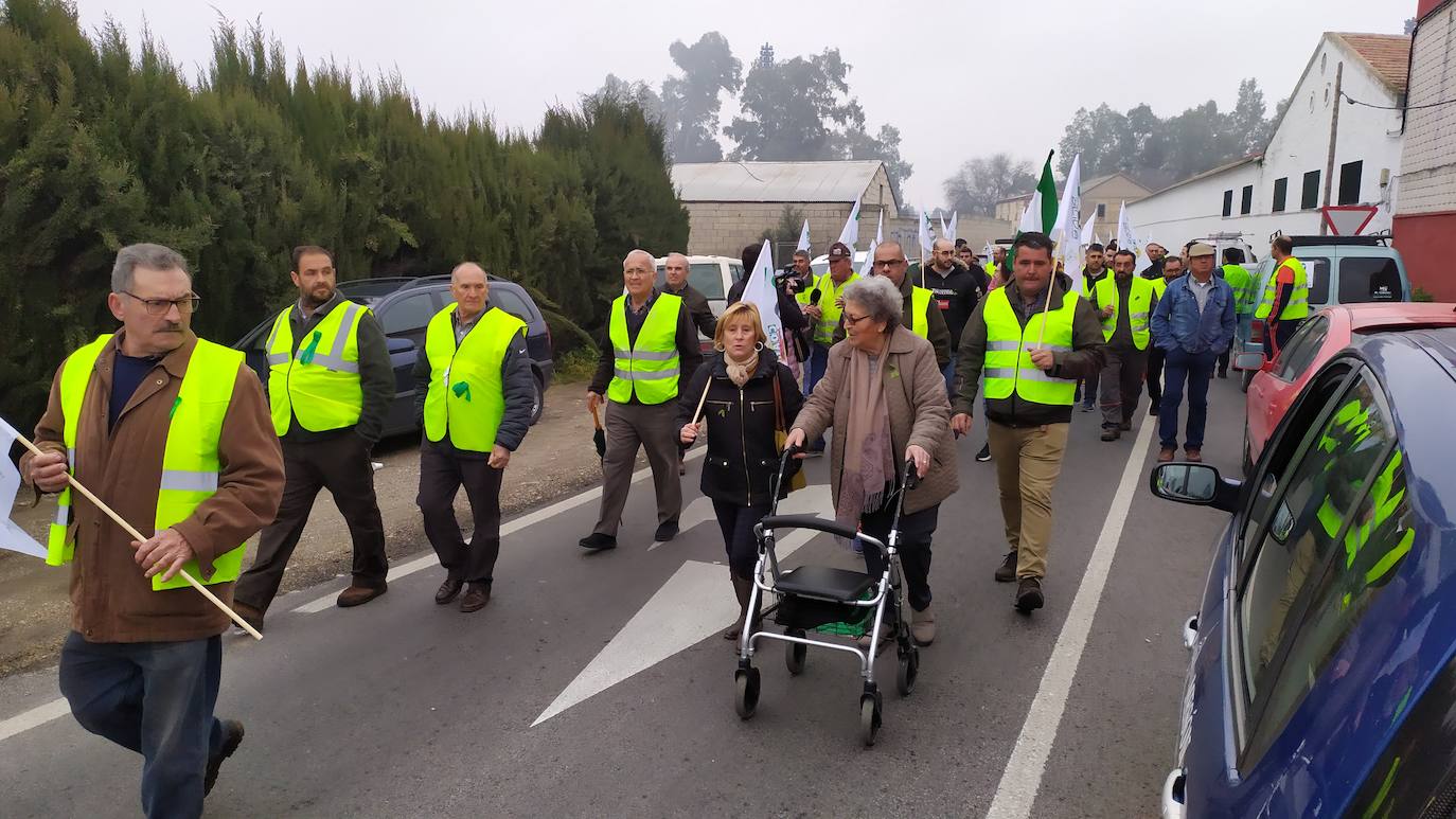 Miles de trabajadores del sector del olivar se han manifestado en toda la provincia de Jaén