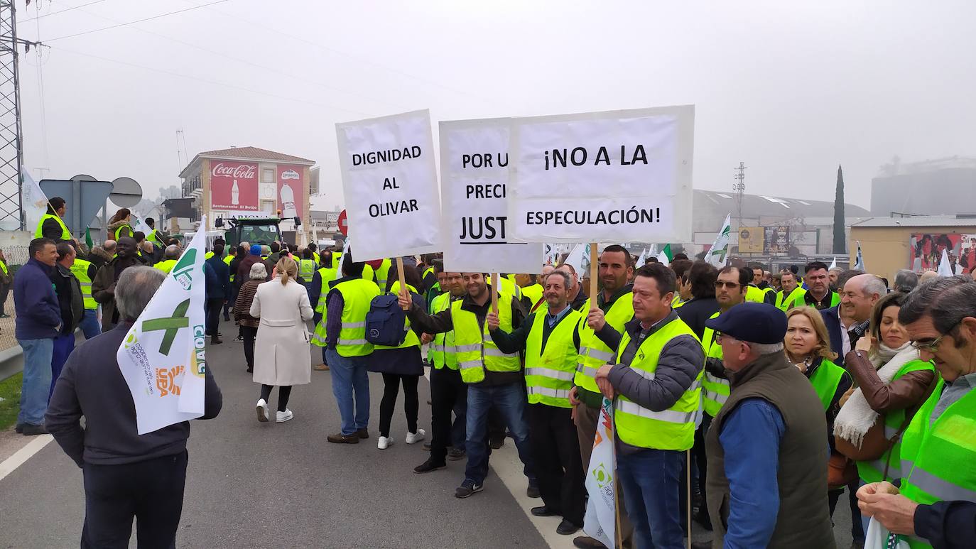 Miles de trabajadores del sector del olivar se han manifestado en toda la provincia de Jaén