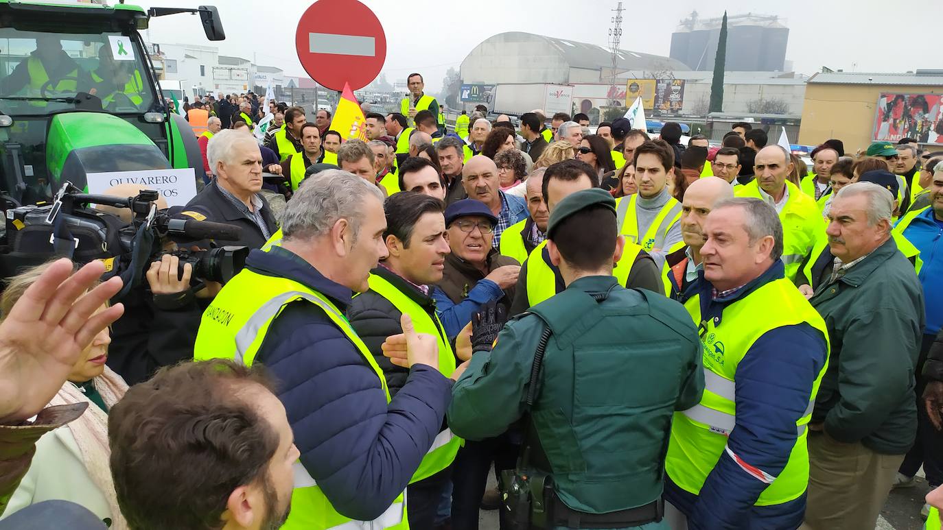 Miles de trabajadores del sector del olivar se han manifestado en toda la provincia de Jaén