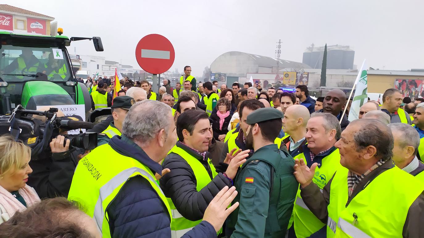 Miles de trabajadores del sector del olivar se han manifestado en toda la provincia de Jaén