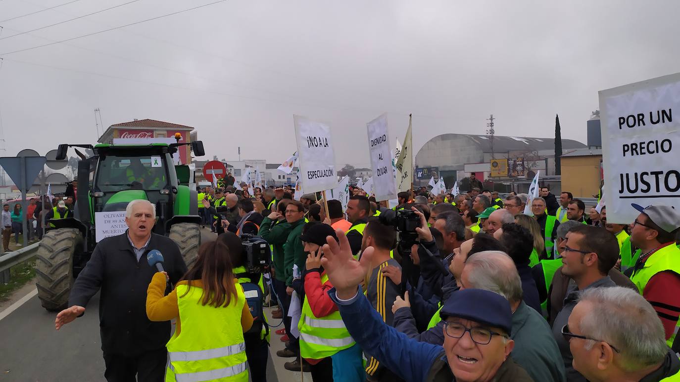 Miles de trabajadores del sector del olivar se han manifestado en toda la provincia de Jaén