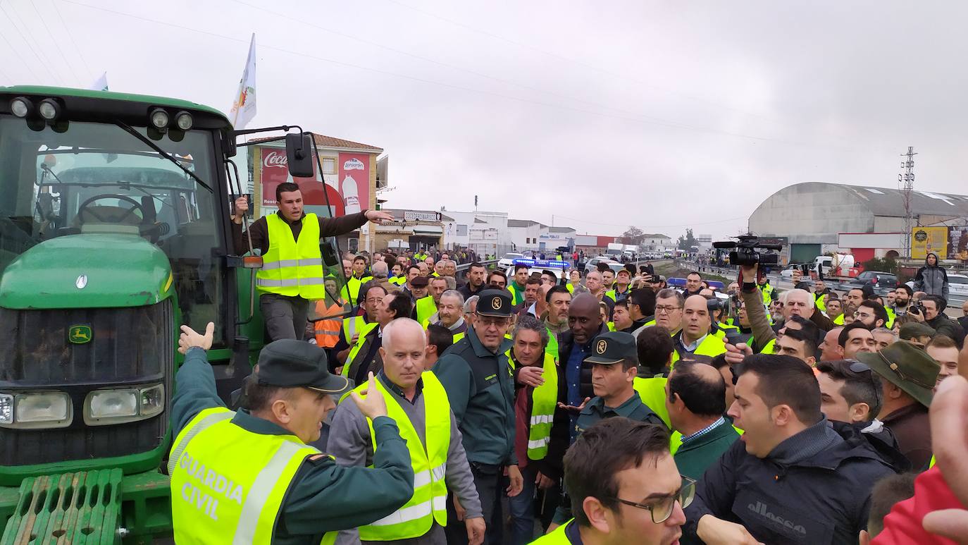 Miles de trabajadores del sector del olivar se han manifestado en toda la provincia de Jaén