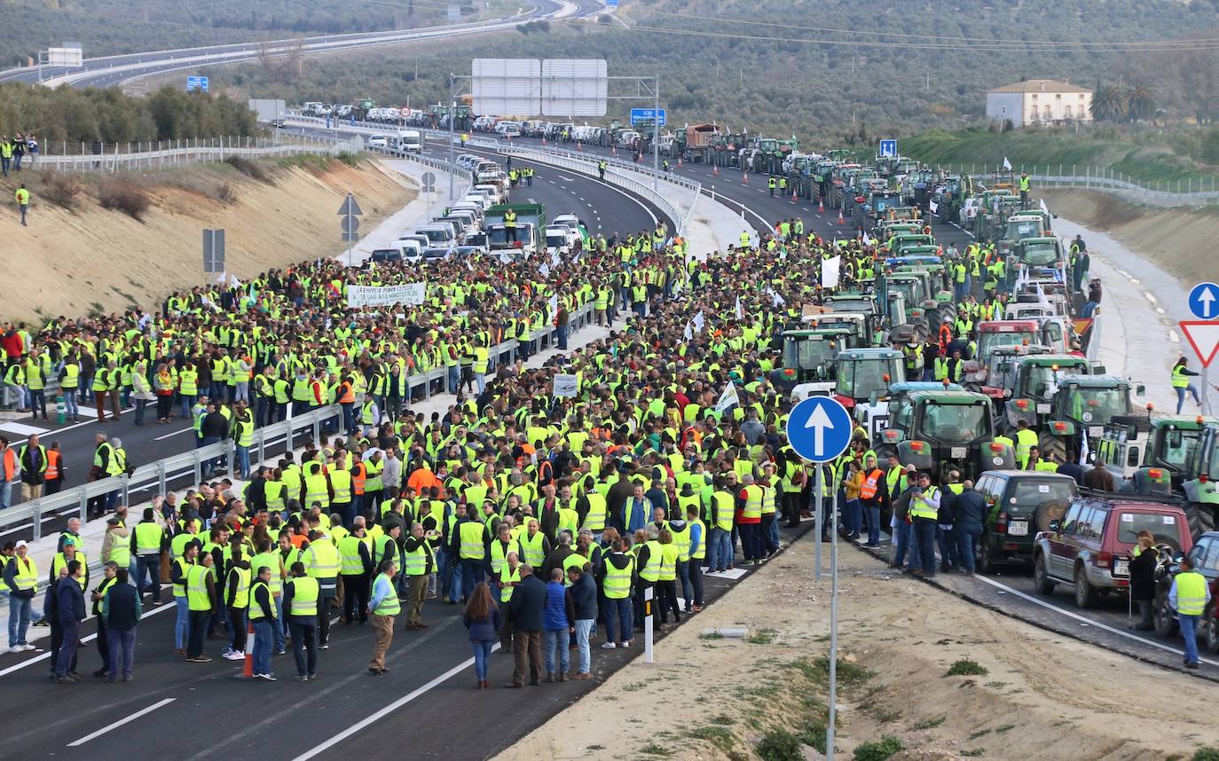 Miles de trabajadores del sector del olivar se han manifestado en toda la provincia de Jaén