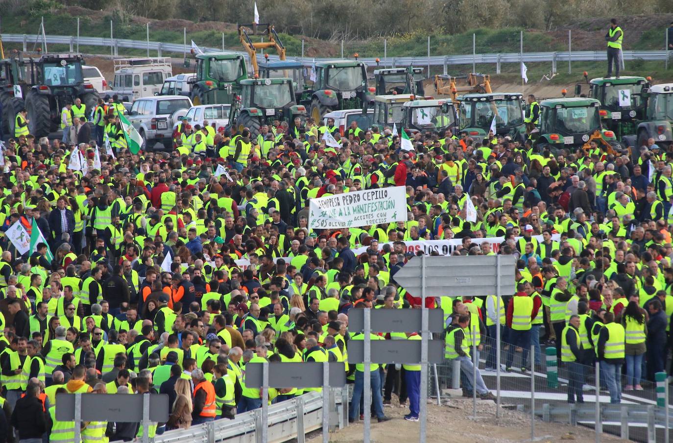 Miles de trabajadores del sector del olivar se han manifestado en toda la provincia de Jaén