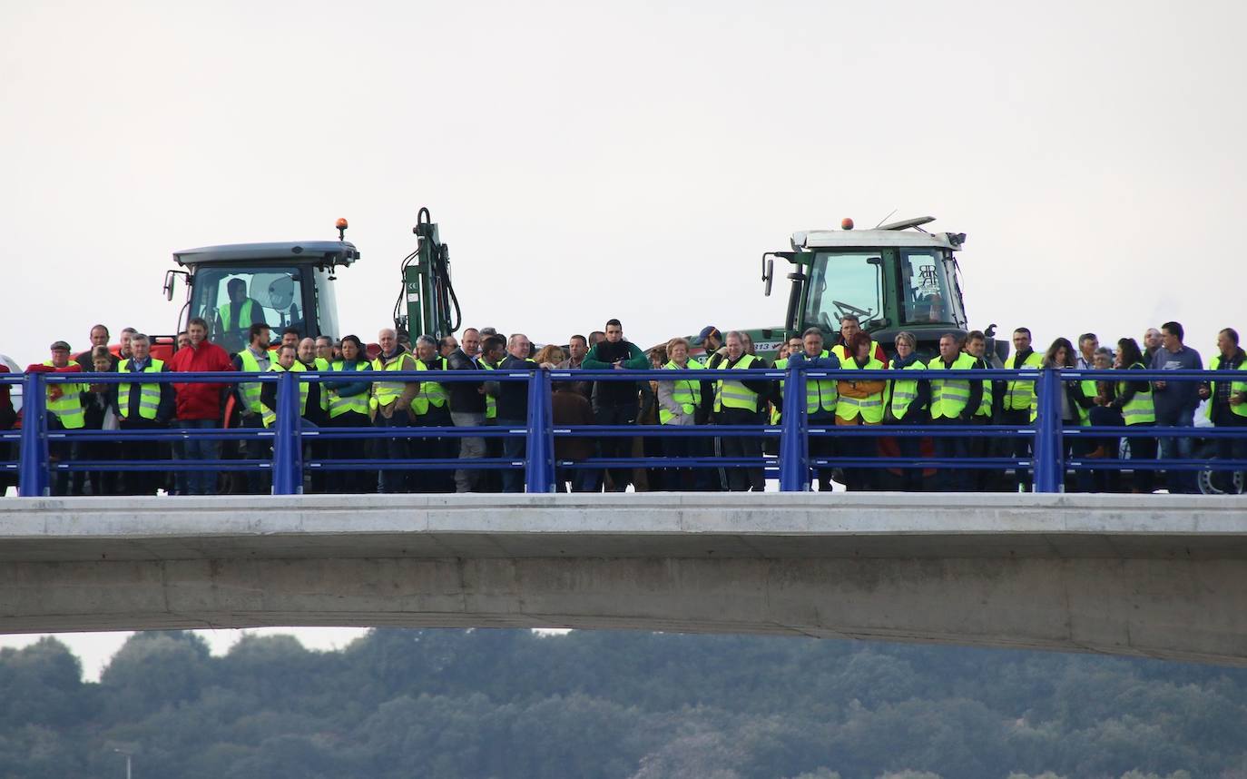 Miles de trabajadores del sector del olivar se han manifestado en toda la provincia de Jaén