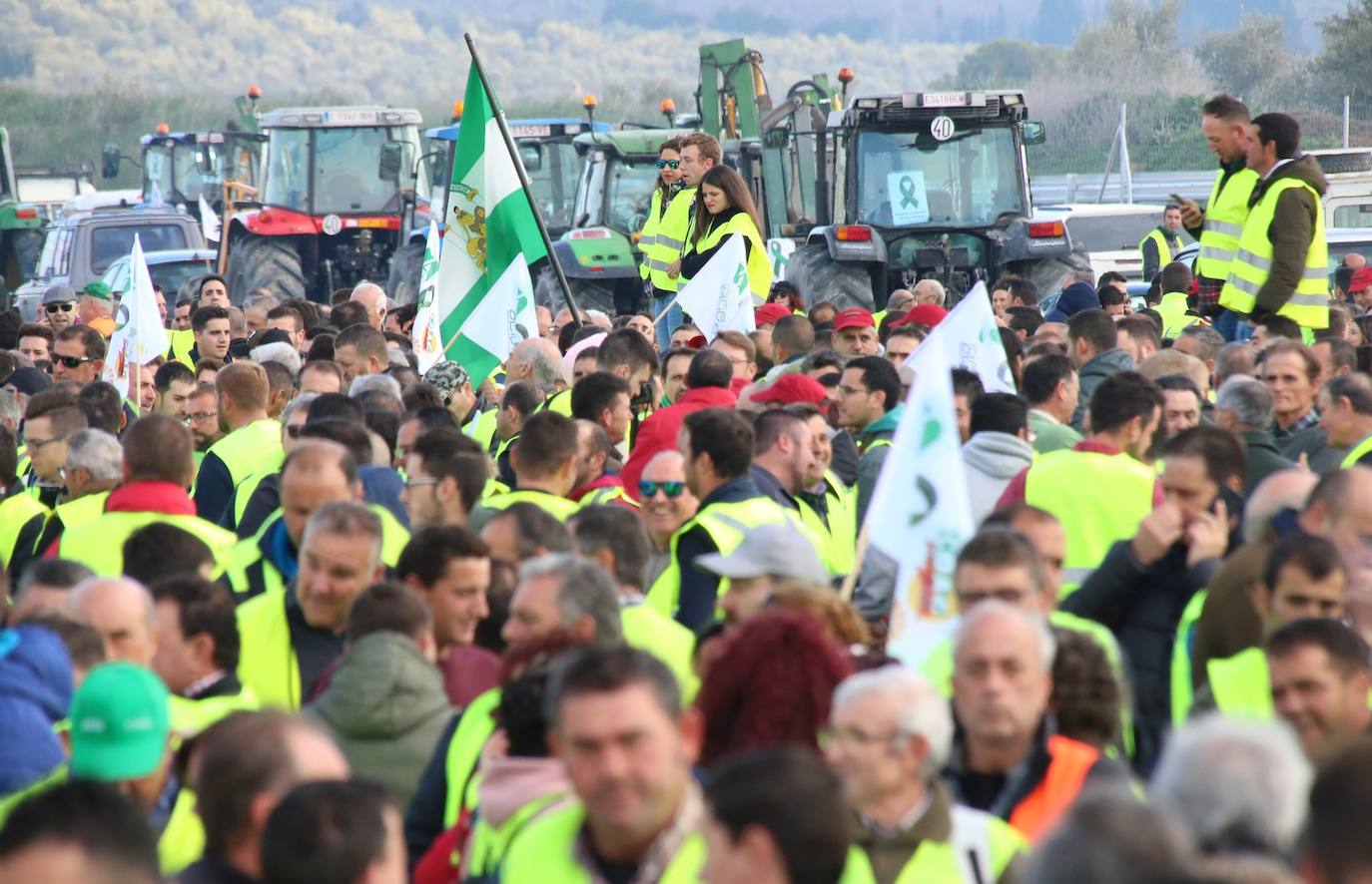 Miles de trabajadores del sector del olivar se han manifestado en toda la provincia de Jaén