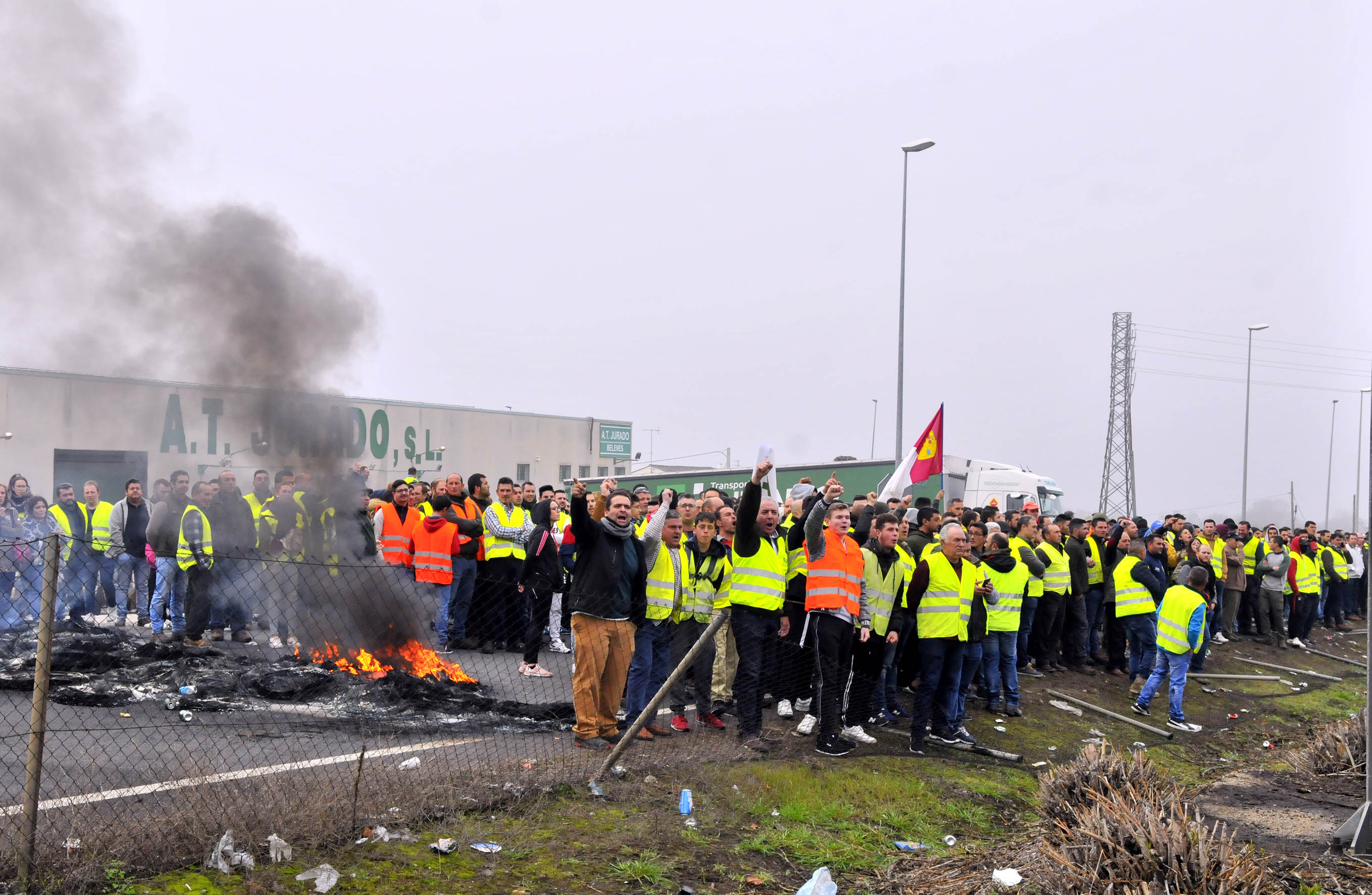 Miles de trabajadores del sector del olivar se han manifestado en toda la provincia de Jaén