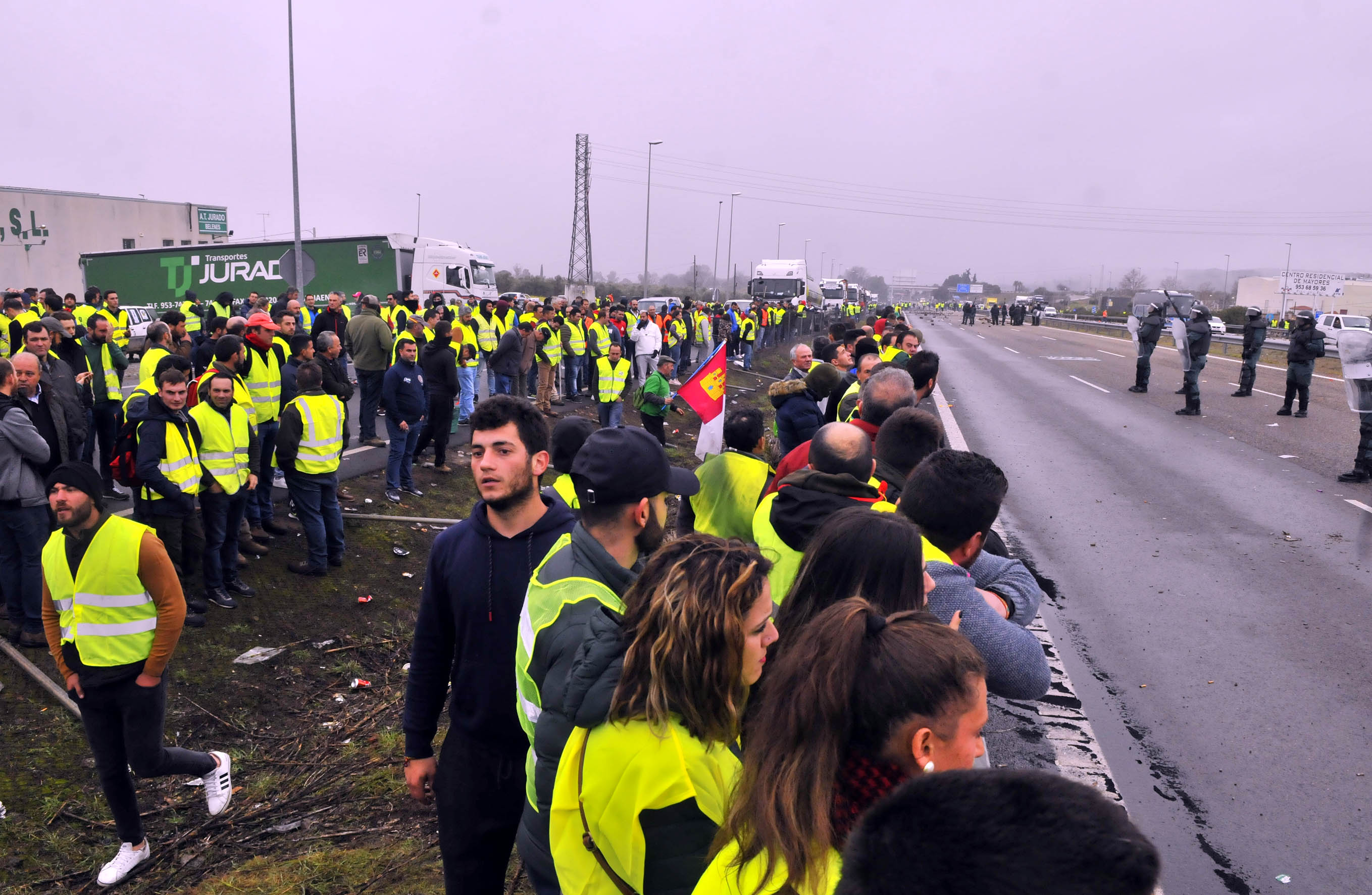 Miles de trabajadores del sector del olivar se han manifestado en toda la provincia de Jaén