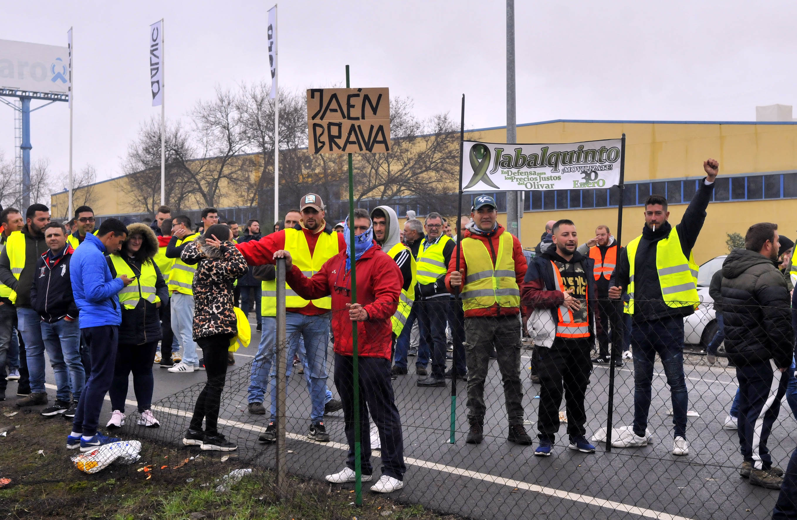 Miles de trabajadores del sector del olivar se han manifestado en toda la provincia de Jaén
