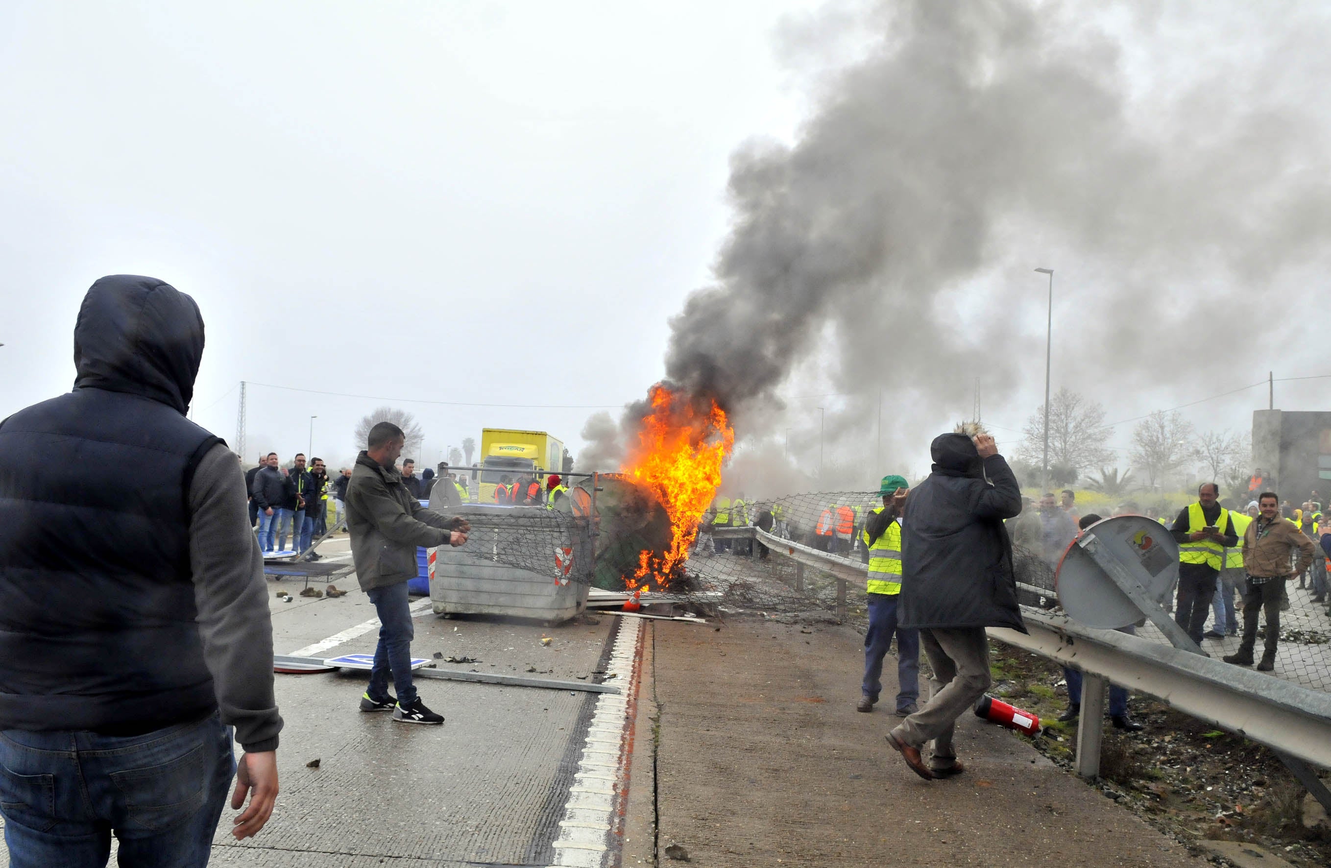 Miles de trabajadores del sector del olivar se han manifestado en toda la provincia de Jaén