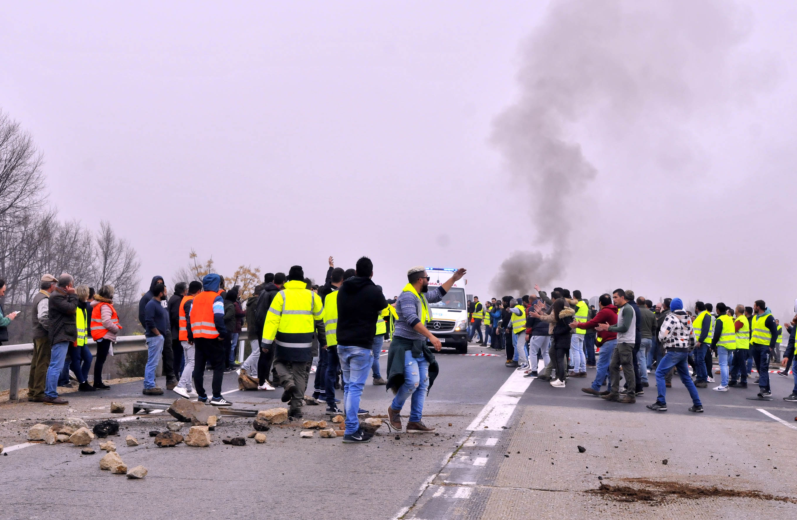 Miles de trabajadores del sector del olivar se han manifestado en toda la provincia de Jaén