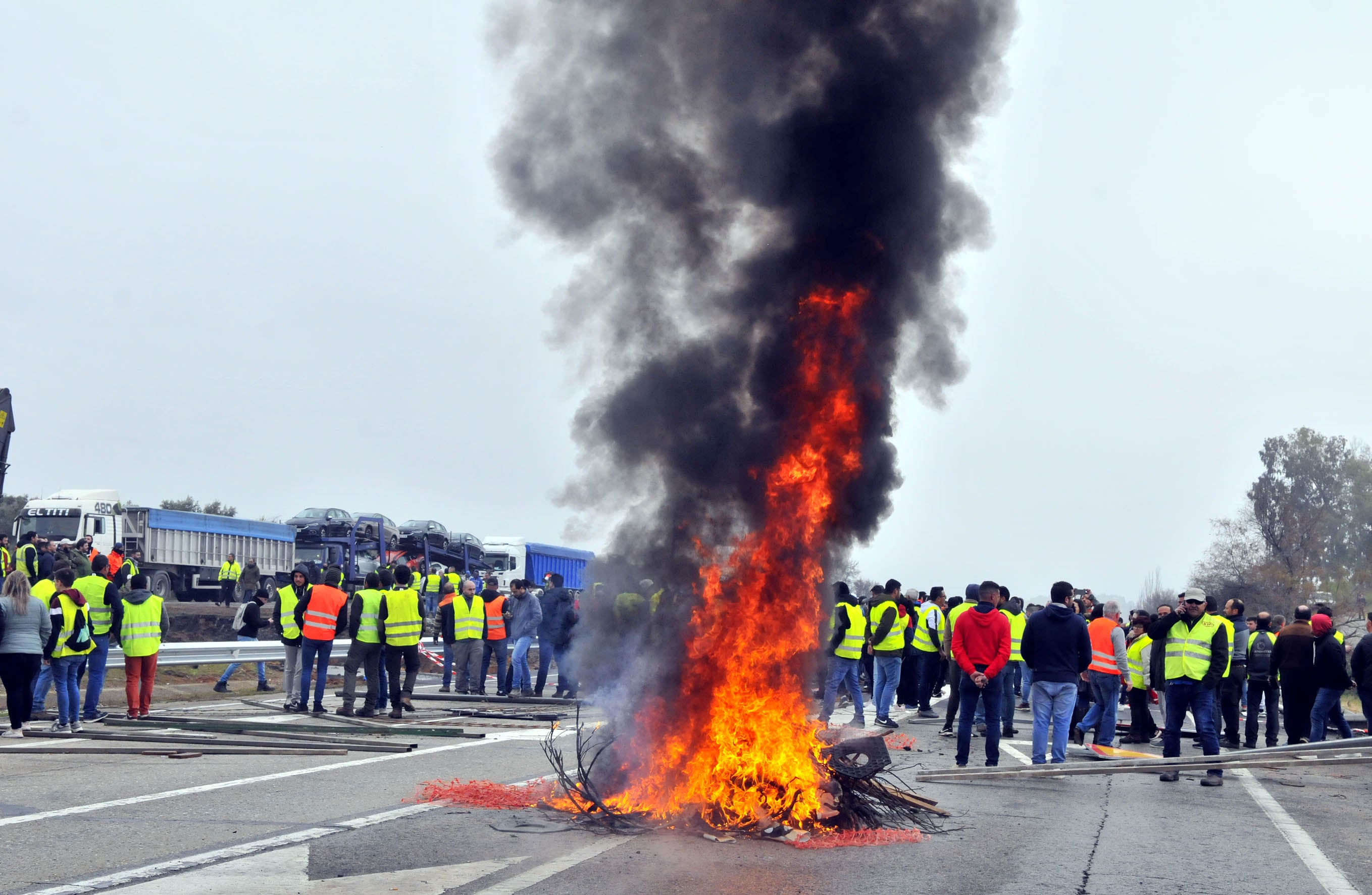 Miles de trabajadores del sector del olivar se han manifestado en toda la provincia de Jaén