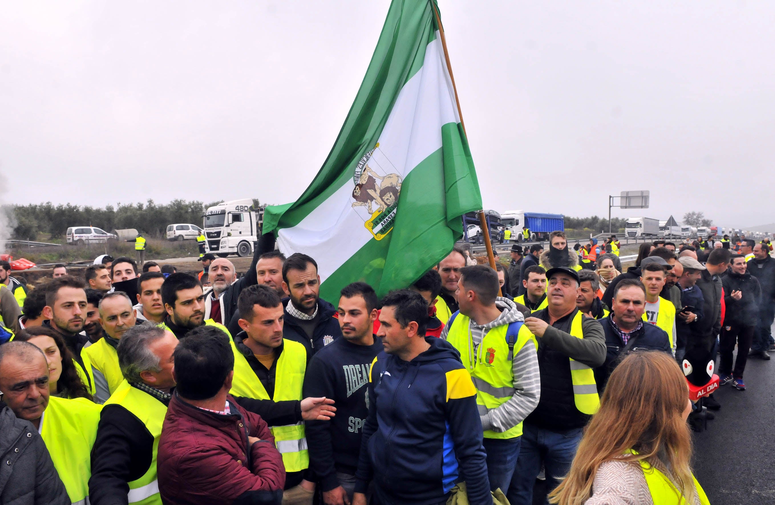 Miles de trabajadores del sector del olivar se han manifestado en toda la provincia de Jaén