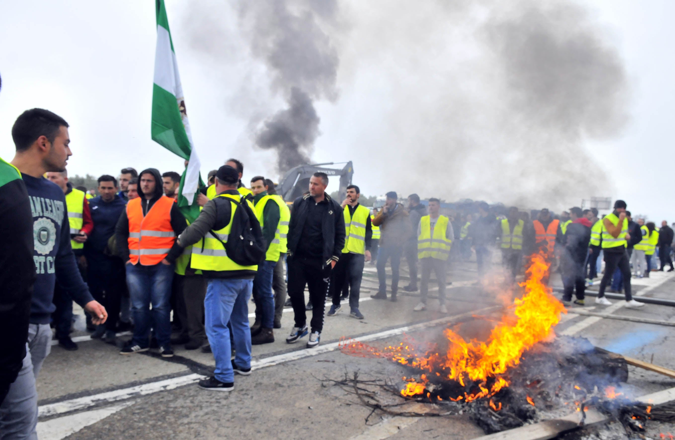 Miles de trabajadores del sector del olivar se han manifestado en toda la provincia de Jaén