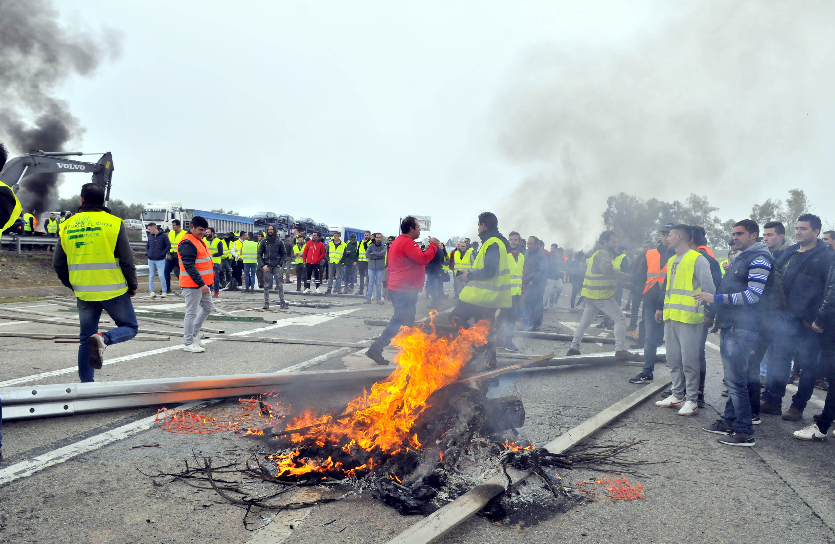 Miles de trabajadores del sector del olivar se han manifestado en toda la provincia de Jaén