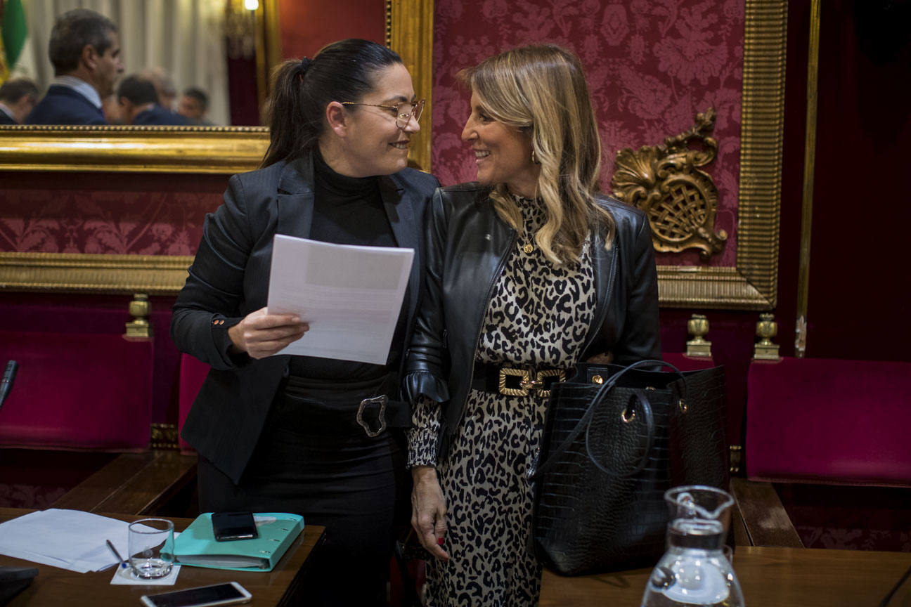 El mandatario popular ha anunciado su salida de la dirección del partido a nivel provincial en el pleno ordinario del Ayuntamiento de Granada 