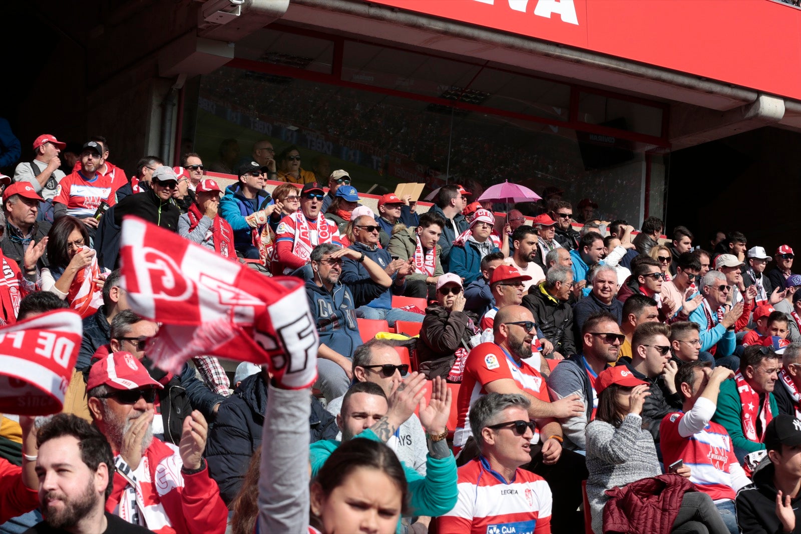 ¿Has estado en el choque de este mediodía en el campo del Zaidín? Aquí te puedes buscar