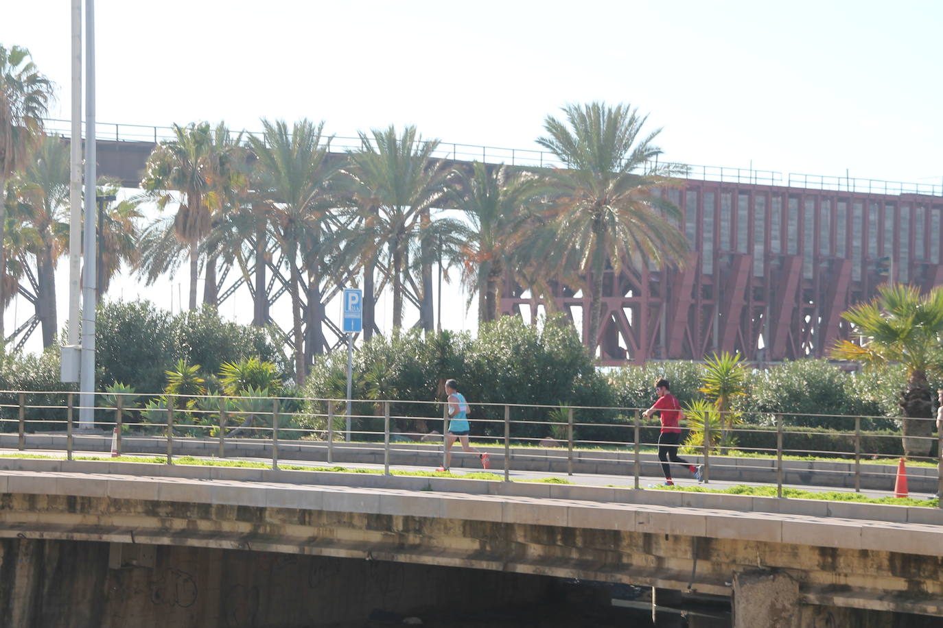 ¿Has estado en la carrera de este domingo? Aquí te puedes encontrar