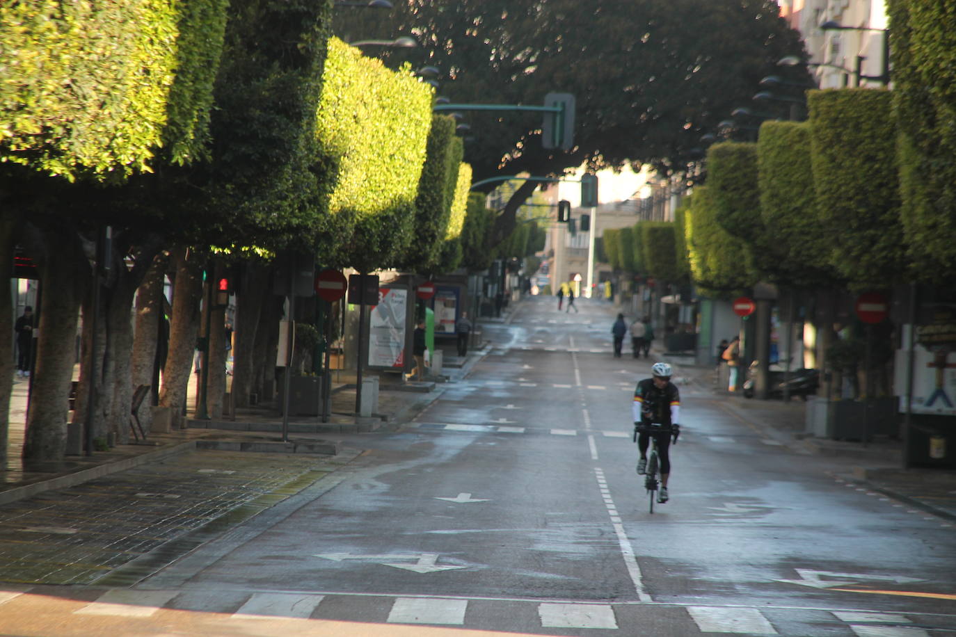 ¿Has estado en la carrera de este domingo? Aquí te puedes encontrar