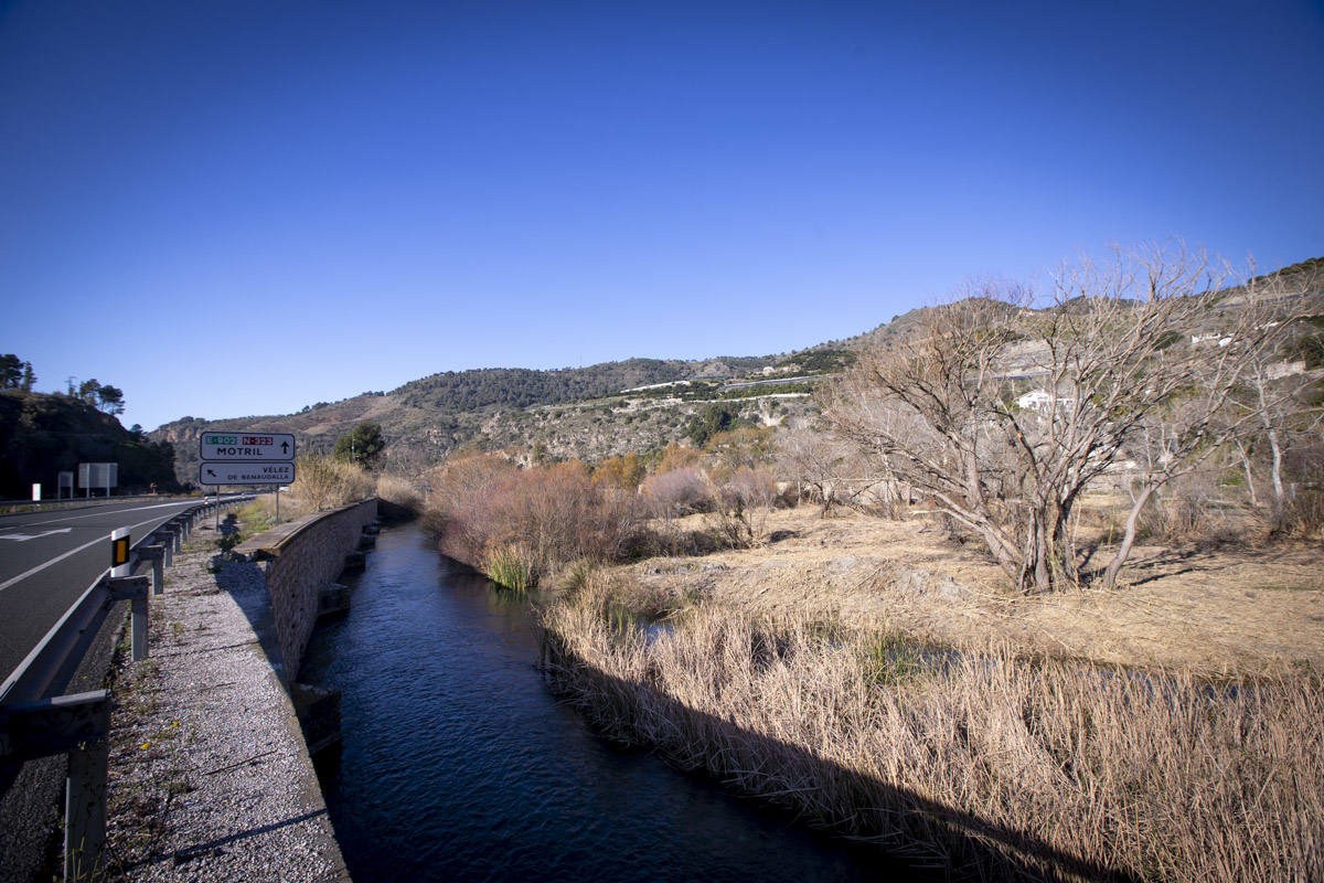 La Junta ha destinado 270.000 euros a retirar esta especie invasora para evitar inundaciones y hacer un gran corredor verde hasta Rules 