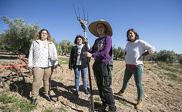 Imagen principal - Viaje a Montefrío: «Si el olivar cae, lo hará el pueblo entero»