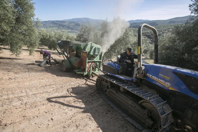 Los trabajadores del campo granadinos reclaman soluciones ante la crisis del sector