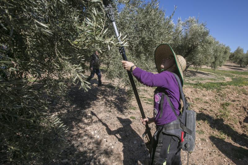 Los trabajadores del campo granadinos reclaman soluciones ante la crisis del sector