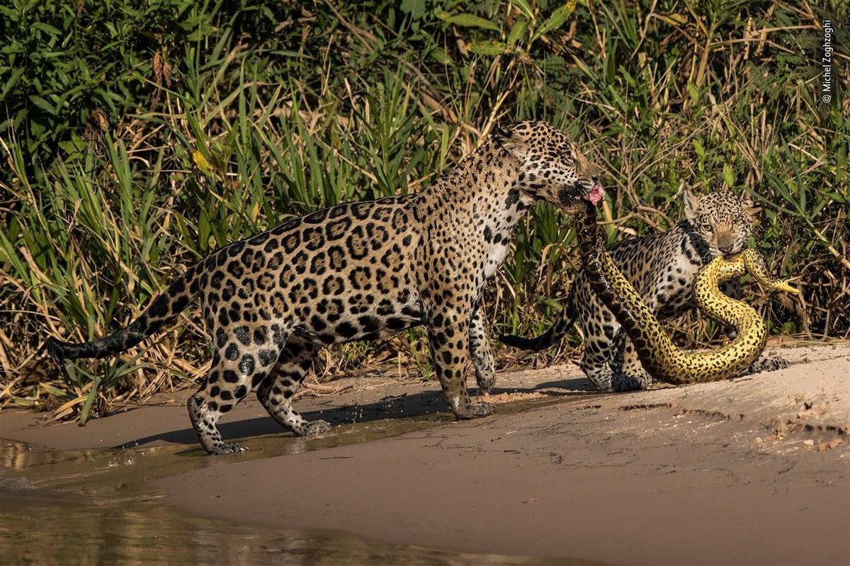 'Matching outfits'. Fotografía galardonada con una mención de honor