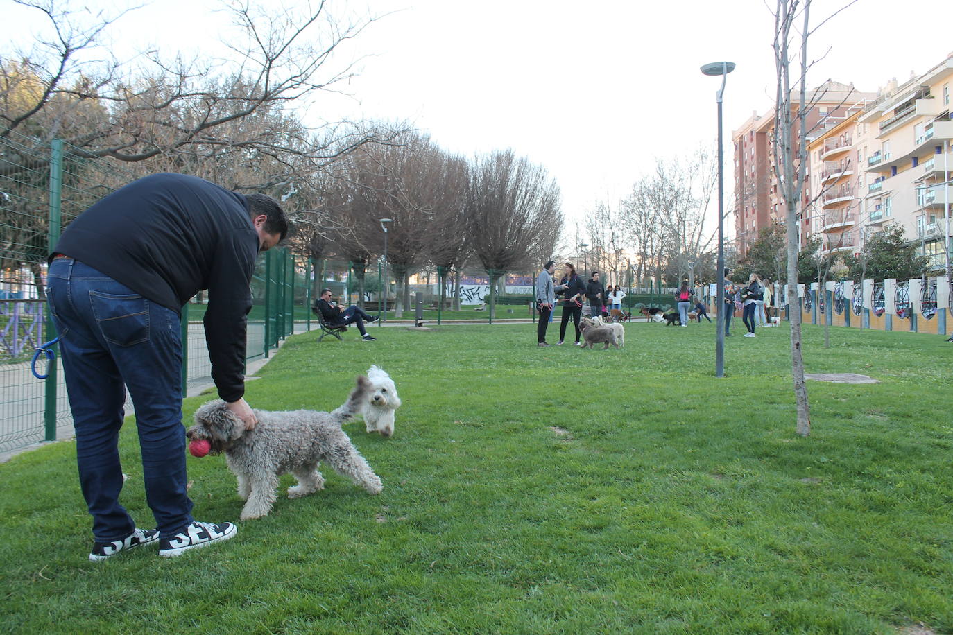 El Ayuntamiento resalta la apuesta por estas instalaciones para mascotas y anuncia que estudia abrir otro similar en Las Fuentezuelas