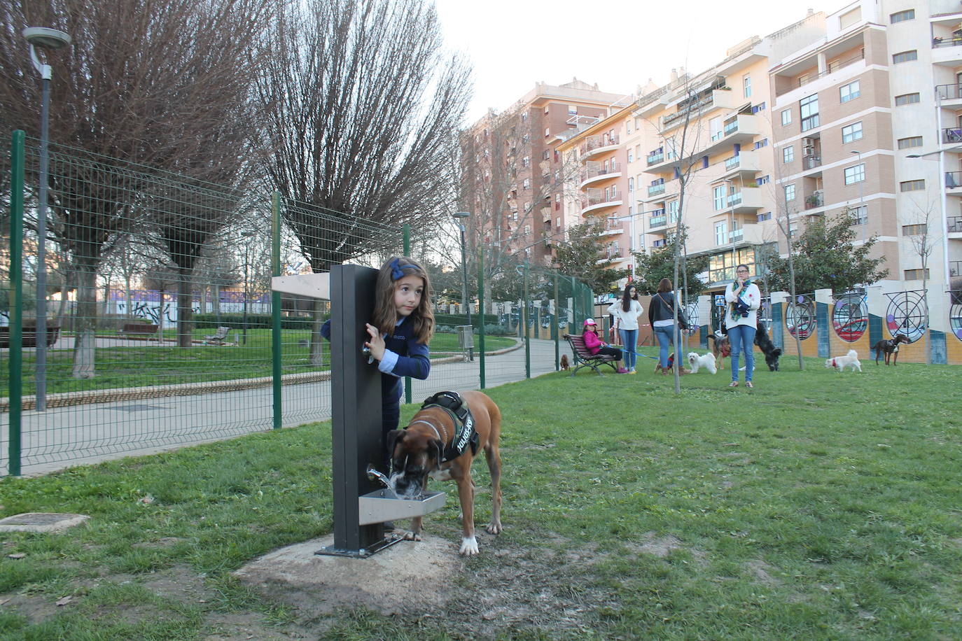 El Ayuntamiento resalta la apuesta por estas instalaciones para mascotas y anuncia que estudia abrir otro similar en Las Fuentezuelas