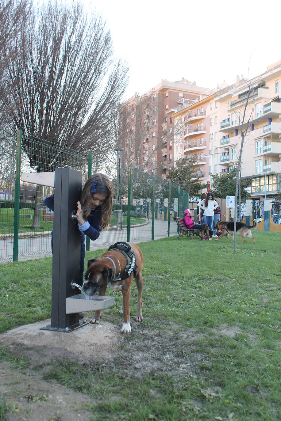 El Ayuntamiento resalta la apuesta por estas instalaciones para mascotas y anuncia que estudia abrir otro similar en Las Fuentezuelas