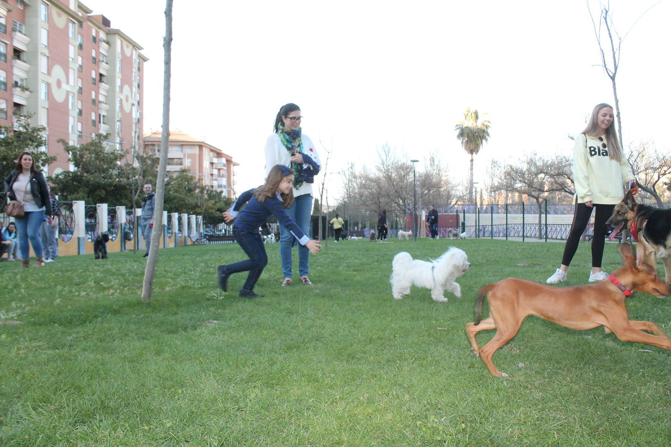 El Ayuntamiento resalta la apuesta por estas instalaciones para mascotas y anuncia que estudia abrir otro similar en Las Fuentezuelas