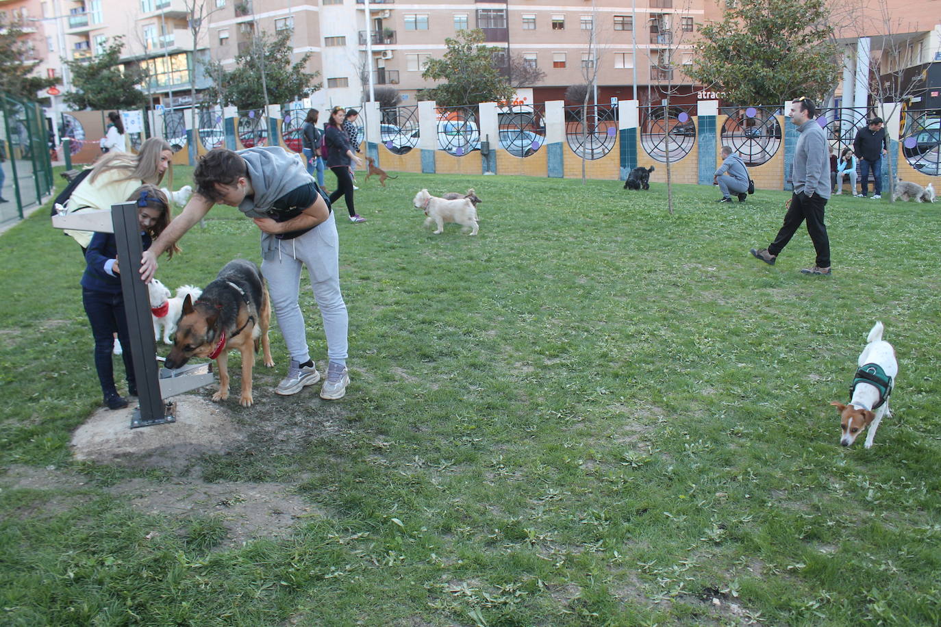 El Ayuntamiento resalta la apuesta por estas instalaciones para mascotas y anuncia que estudia abrir otro similar en Las Fuentezuelas