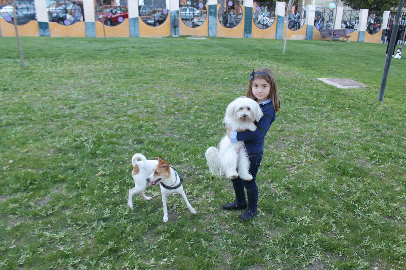 El Ayuntamiento resalta la apuesta por estas instalaciones para mascotas y anuncia que estudia abrir otro similar en Las Fuentezuelas