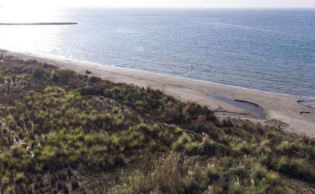 La playa de las Azucenas es un enclave natural de gran importancia desde el punto de vista medioambiental.