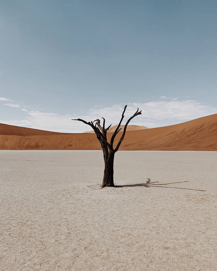 El premio al 'Fotógrafo móvil del año' ha sido para Daniel Heilig por una serie de fotografías realizadas con un iPhone XSMax