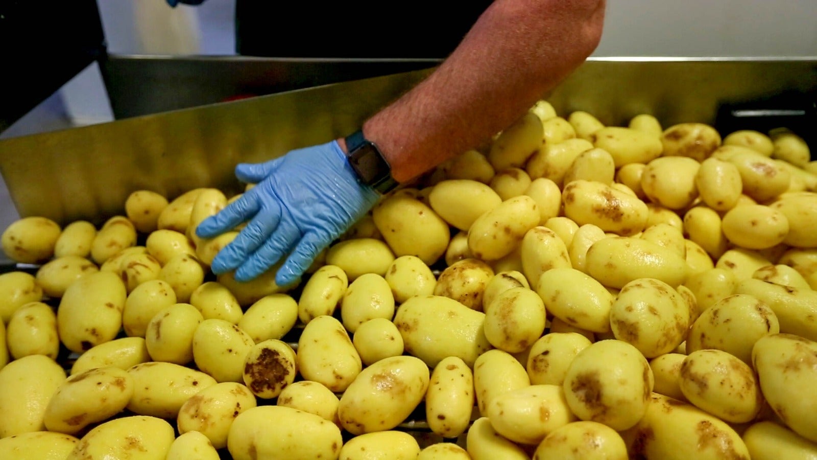 La empresa abre a IDEAL las puertas de su fábrica de Dúrcal para desvelarnos el proceso de elaboración