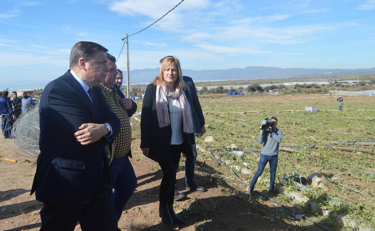 El ministro Luis Planas contempla los daños de la borrasca 'Gloria' en el campo de Níjar.