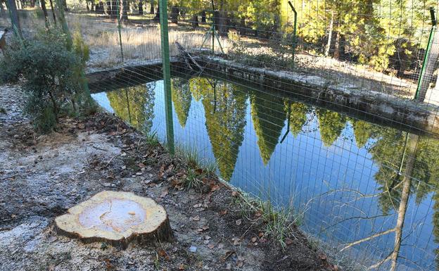 Imagen principal - La alberca de Bolones; estado de la fuente de Los Peñoncillos antes de la limpieza; alberca de Los Peñoncillos tras el desbroce de sus laterales 