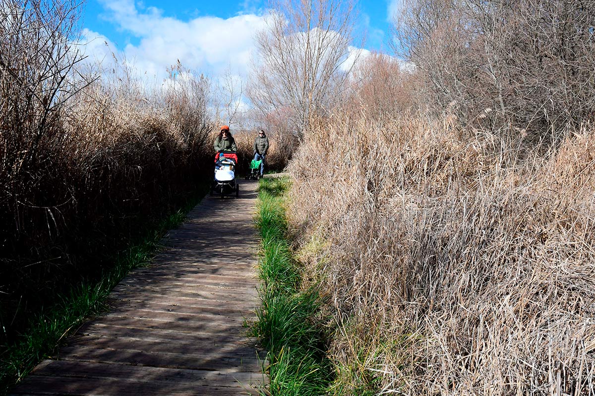Ruta del Mamut en las lagunas y turberas de Padul 