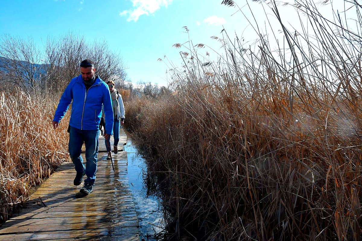 Ruta del Mamut en las lagunas y turberas de Padul 
