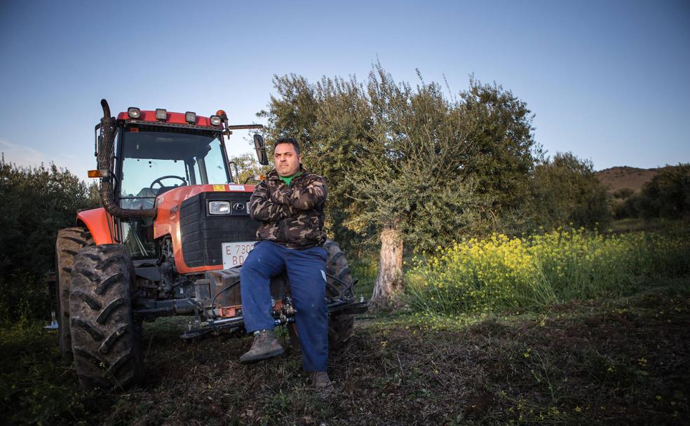 Fernando Pulido, en la explotación olivarera que tiene a las afueras de Íllora.