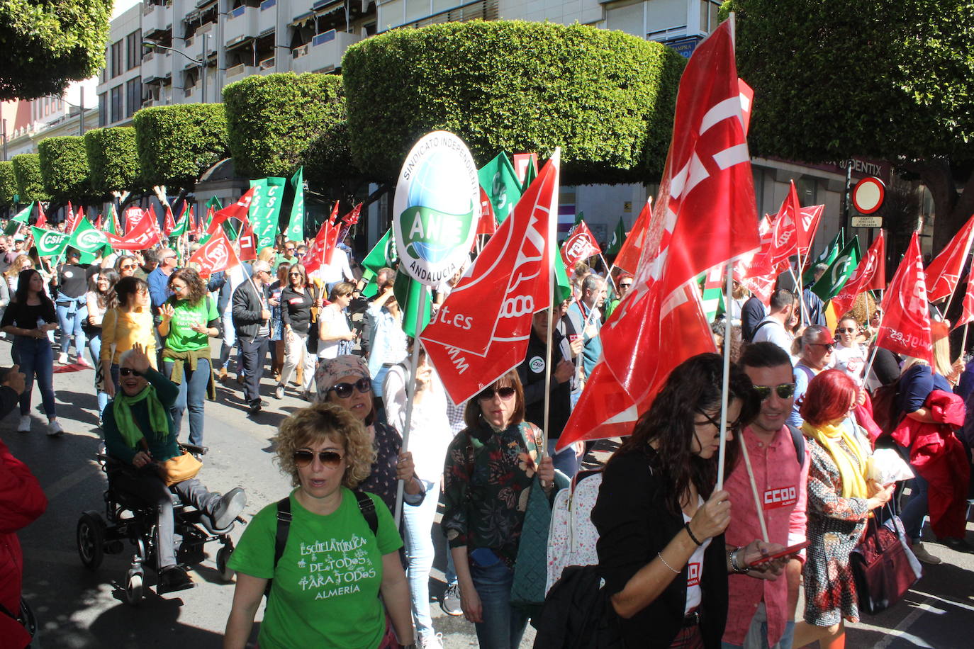 Un millar de manifestantes se han echado a la calle contra el decreto de escolarización. 