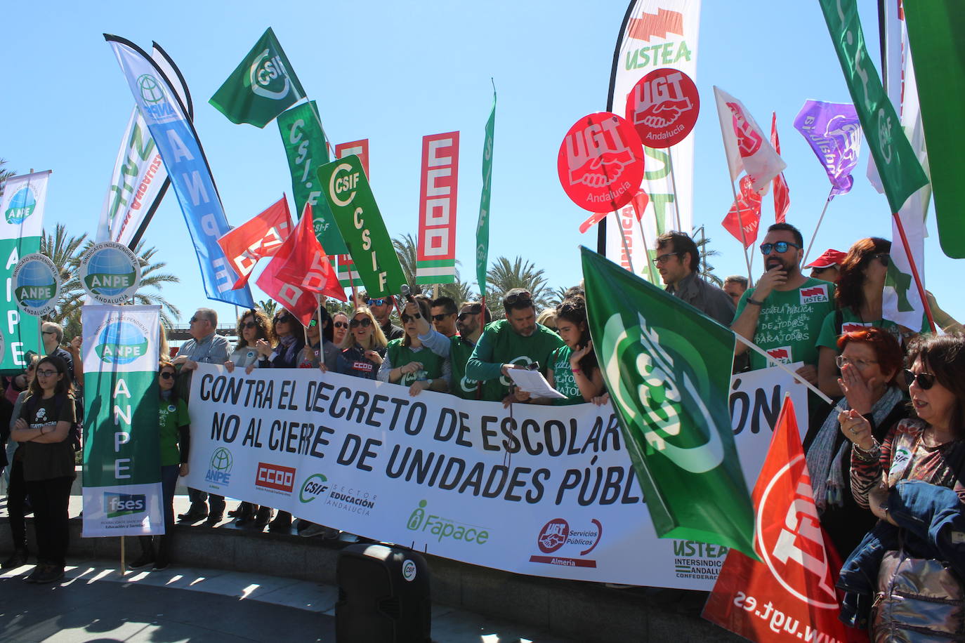 Un millar de manifestantes se han echado a la calle contra el decreto de escolarización. 