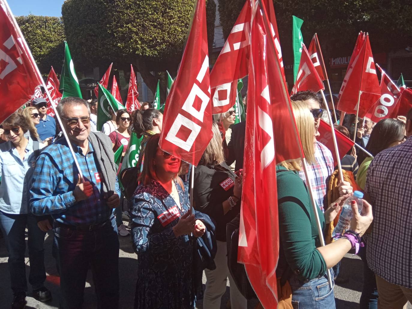 Un millar de manifestantes se han echado a la calle contra el decreto de escolarización. 