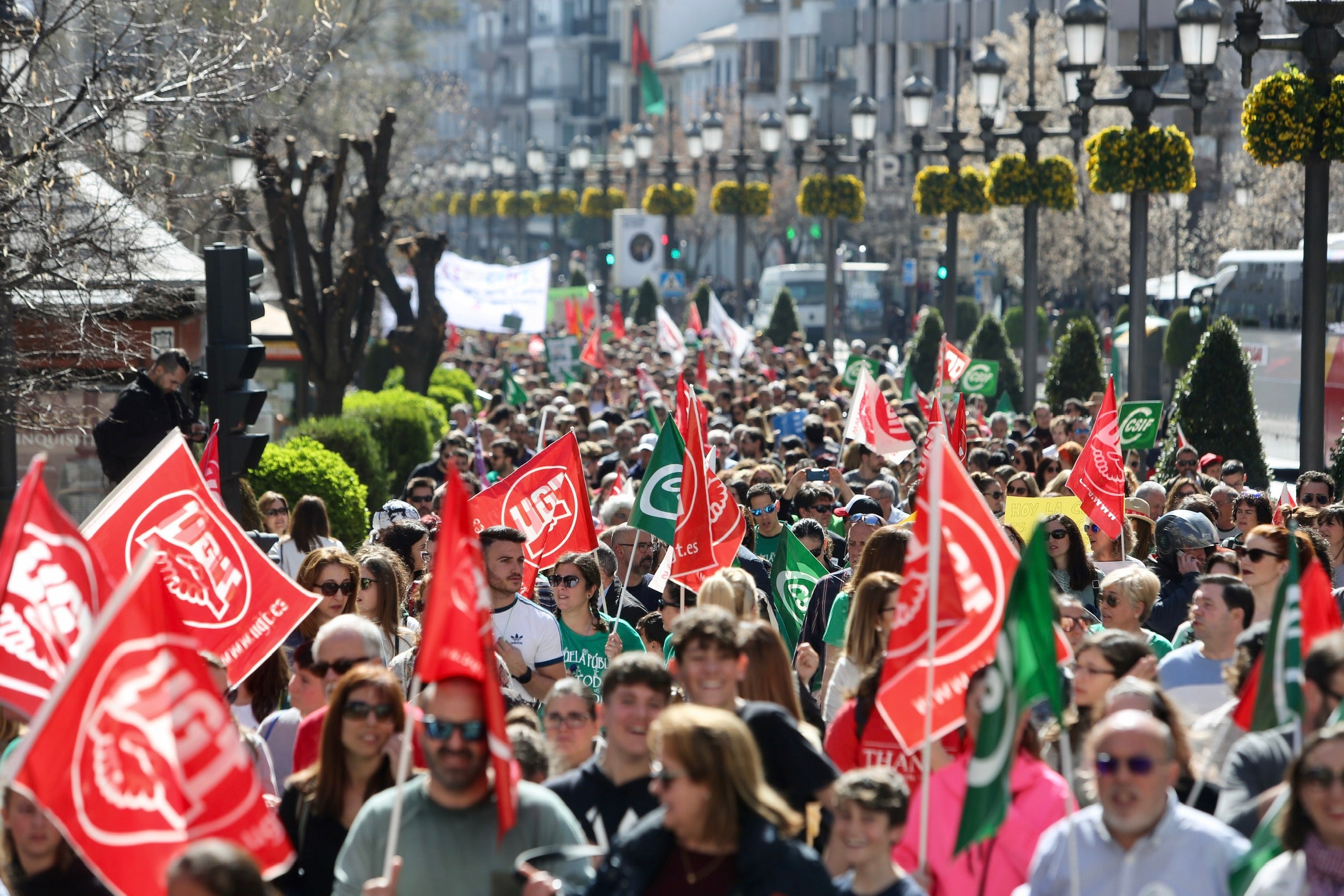 Colegio Francisco Mejías en Motril