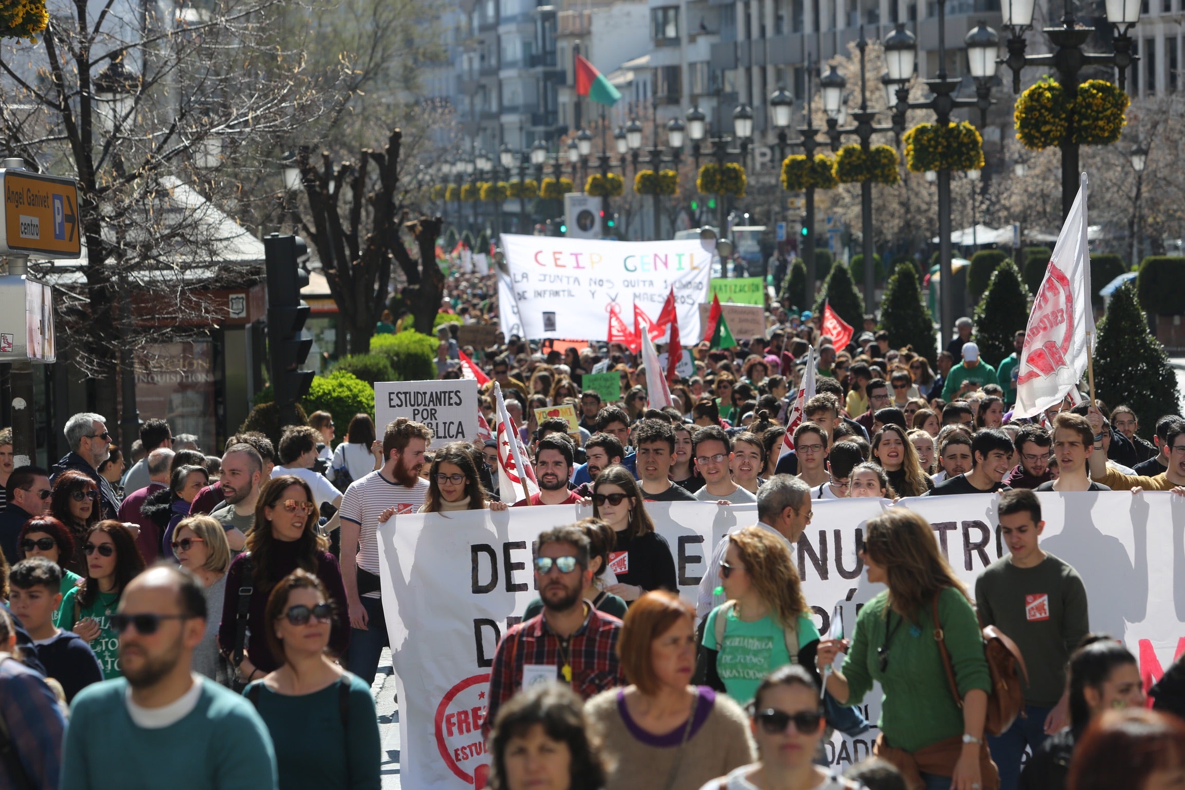 Colegio Francisco Mejías en Motril