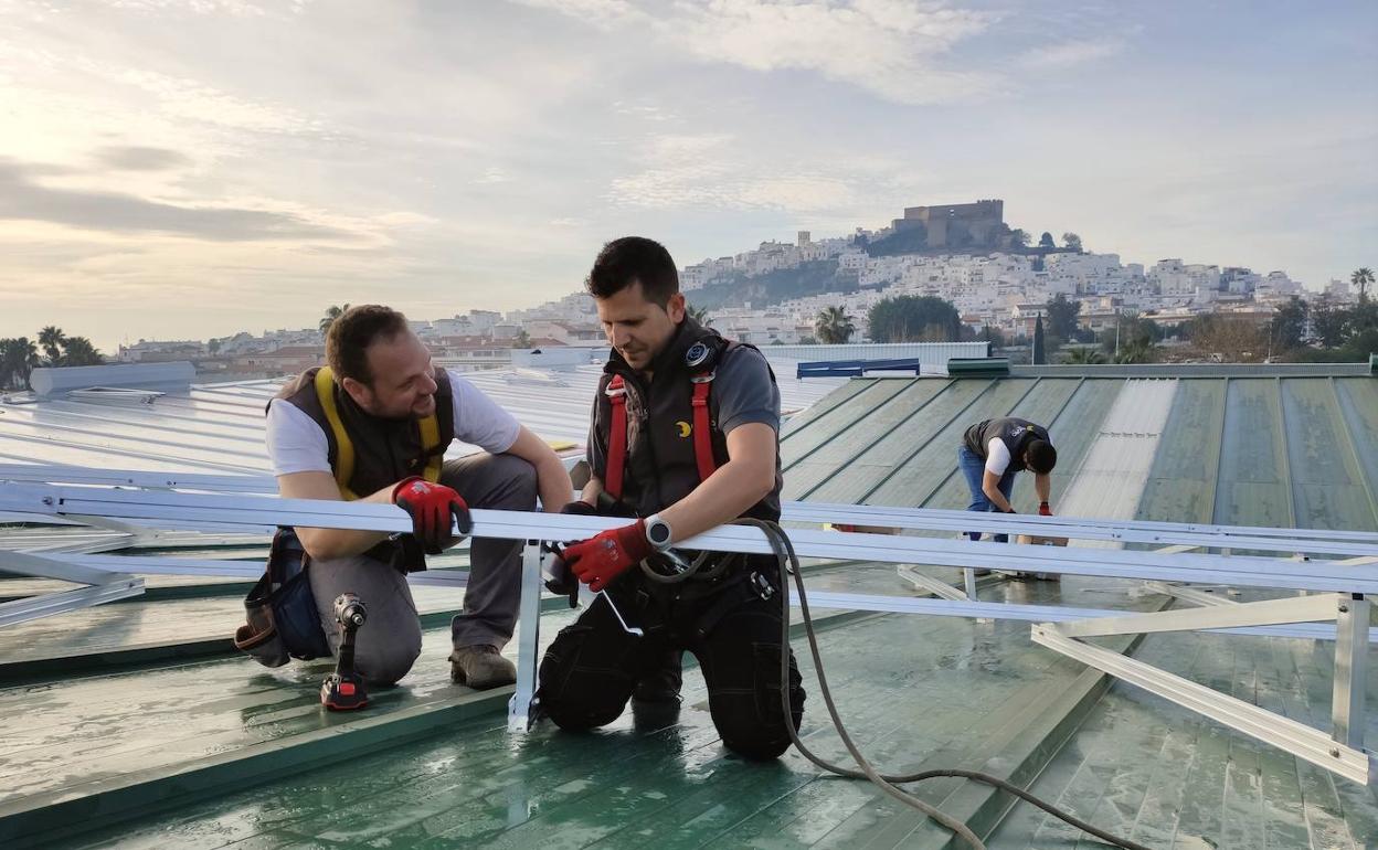Frutas Manzano instala placas solares para abastecer sus naves